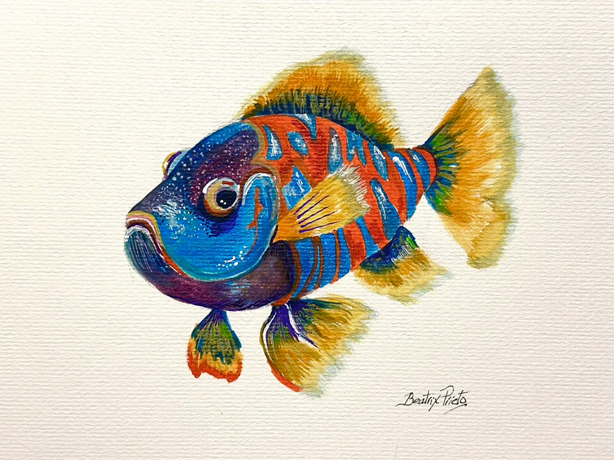 Serie peces Pez Mandarina