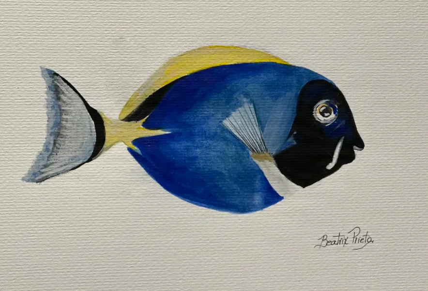 Serie Peces Pez Azul Cirujano