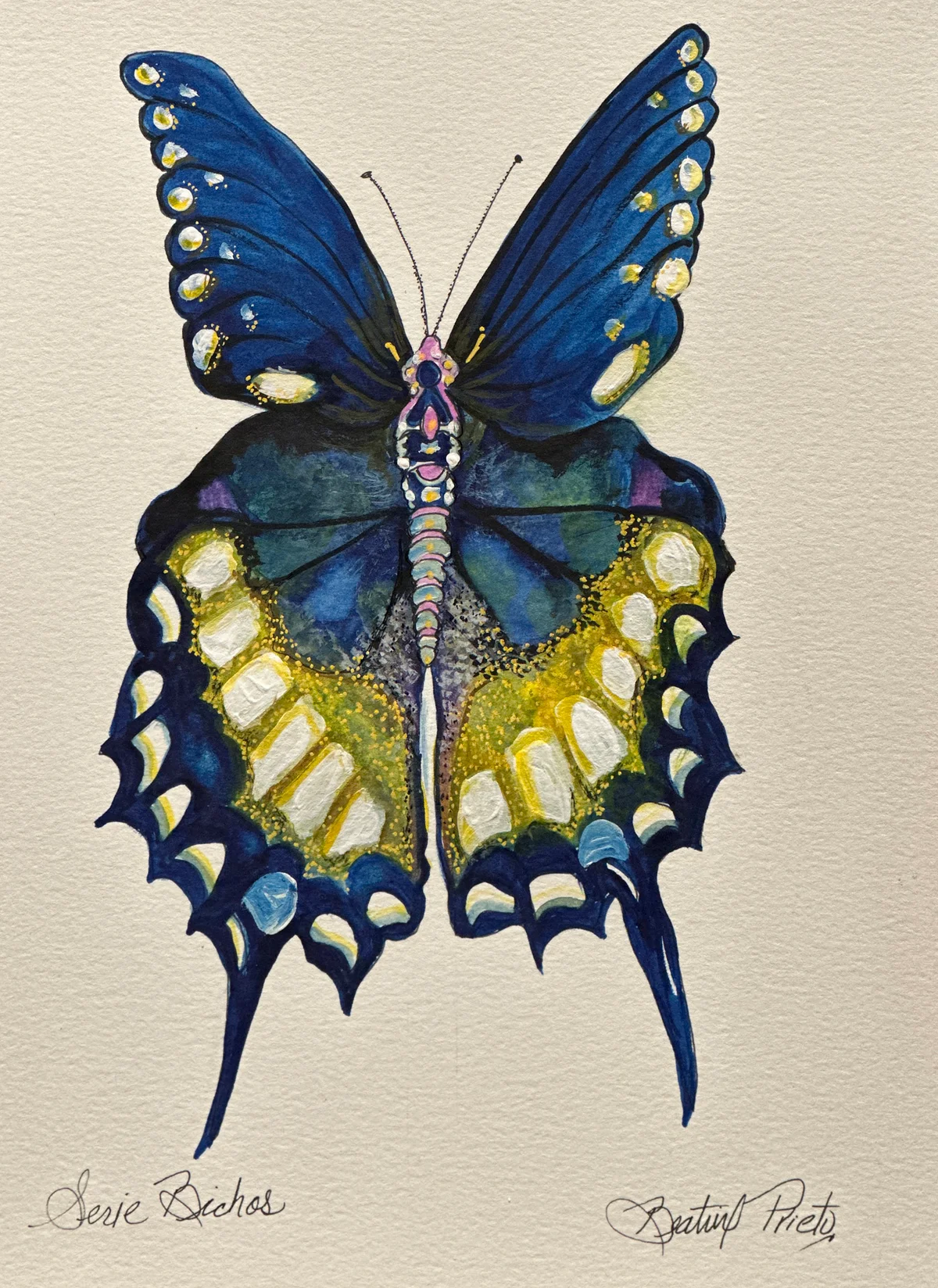 Serie Mariposas Azul Polen