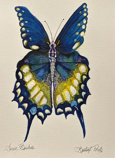 Serie Mariposas Azul Polen