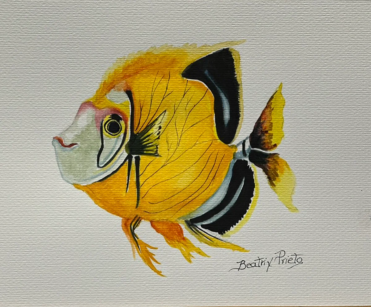 Serie Peces Pez Butterfly